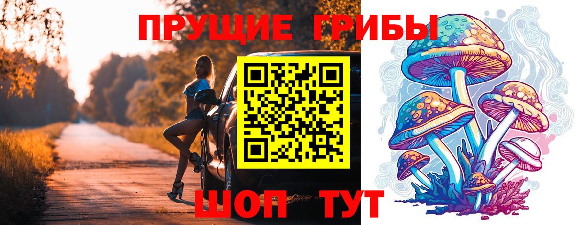 Волхов  Галлюциногенные грибы мицелий  Вход с VPN  Псилоцибиновые грибы Cubensis 